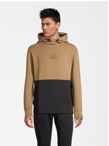 AÉROPOSTALE Sweatshirt in Grijs: voorkant