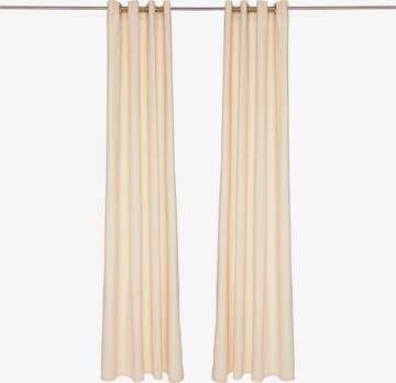 TOM TAILOR Curtains & Drapes in Beige: front