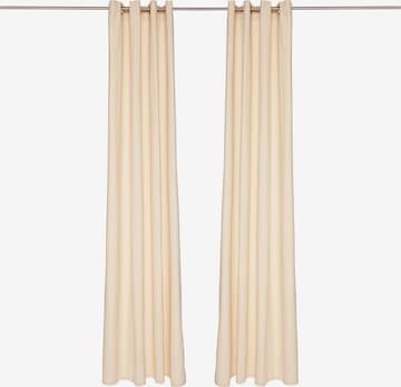 TOM TAILOR Curtains & Drapes in Beige: front