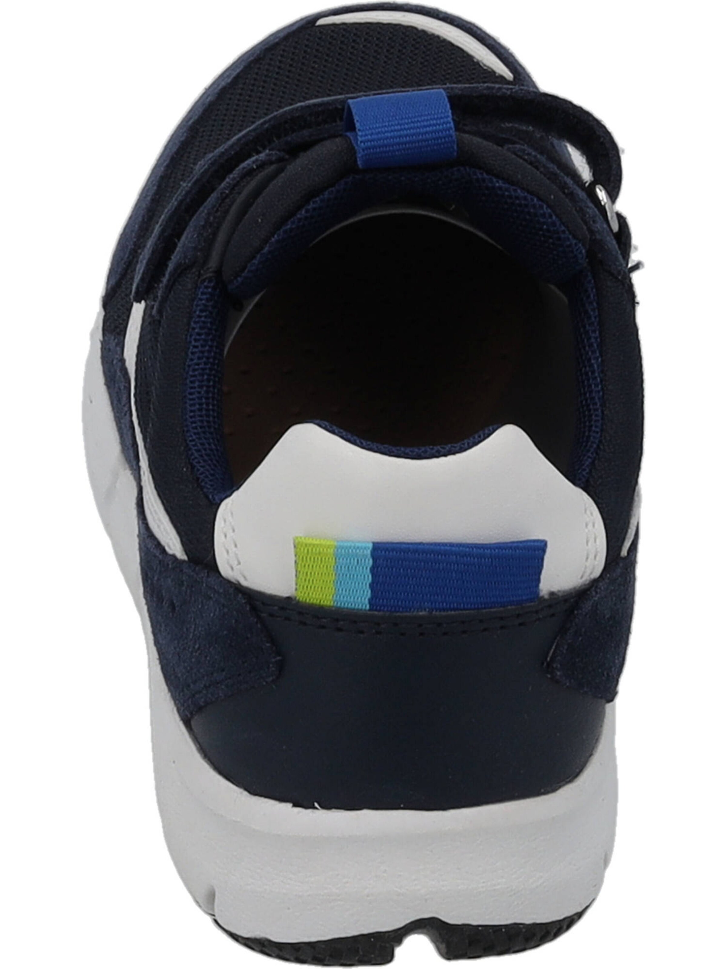 GEOX Sneakers in Blue