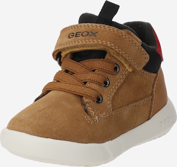 GEOX Sneaker 'HYROO' i brun: framsida