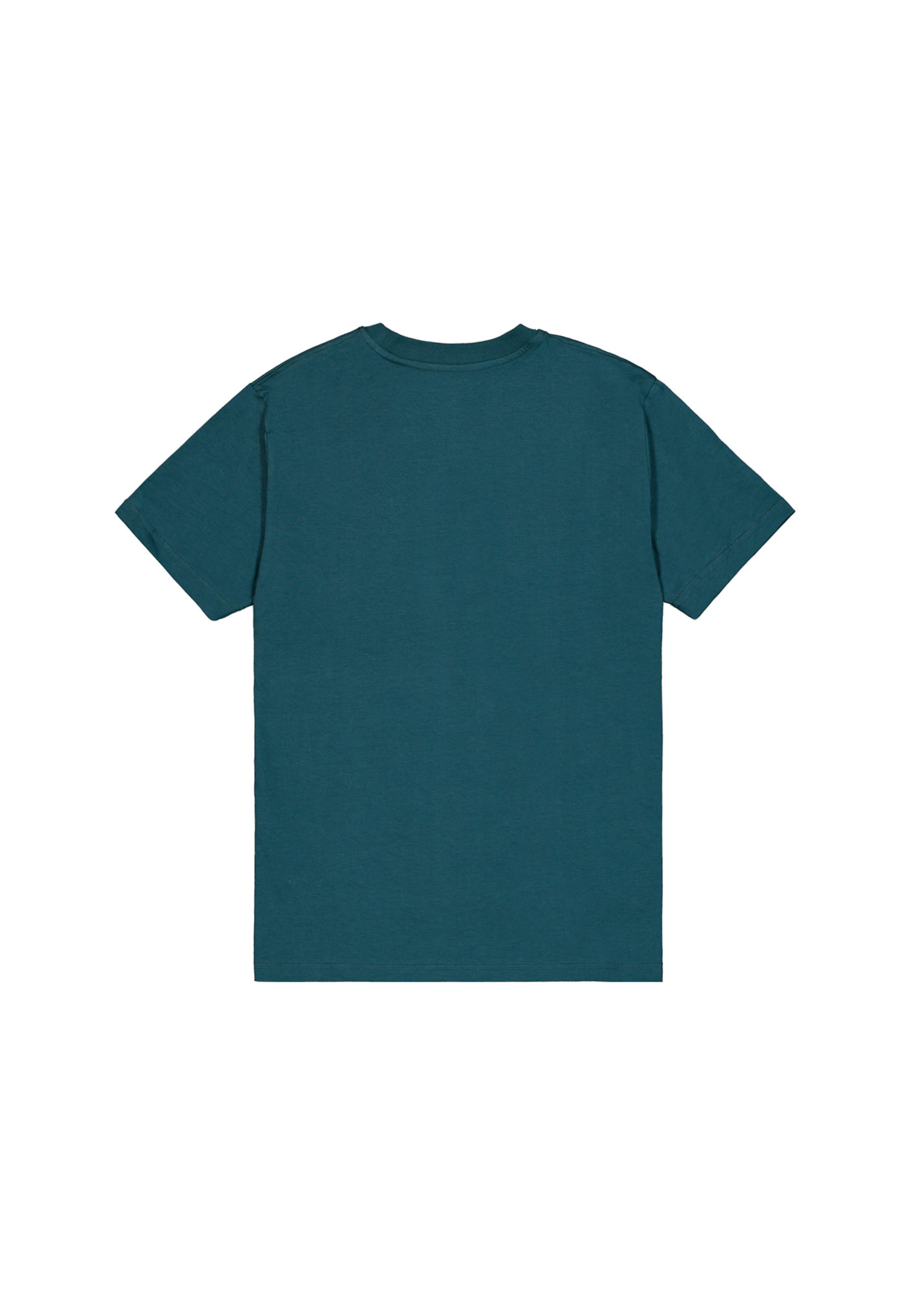 ALPHA INDUSTRIES - Camiseta en verde