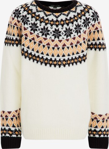 WE Fashion Sweater in White: front