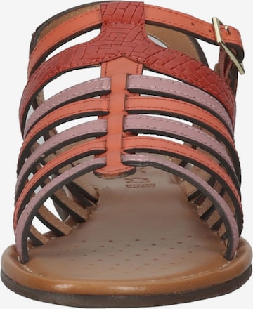 GEOX Strap Sandals in Mixed colors