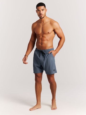 PROTEST Board Shorts 'PRTAdonia' in Blue: front