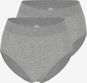 SPEIDEL Panty 'bio.cotton Plus' in Grey: front
