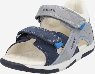 GEOX Sandals & Slippers 'TAPUZ' in Blue: front