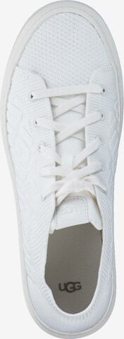 UGG Sneakers 'Alameda' in White