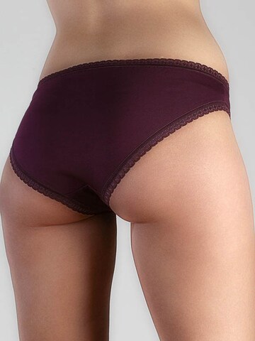Albero Natur Panty in Purple