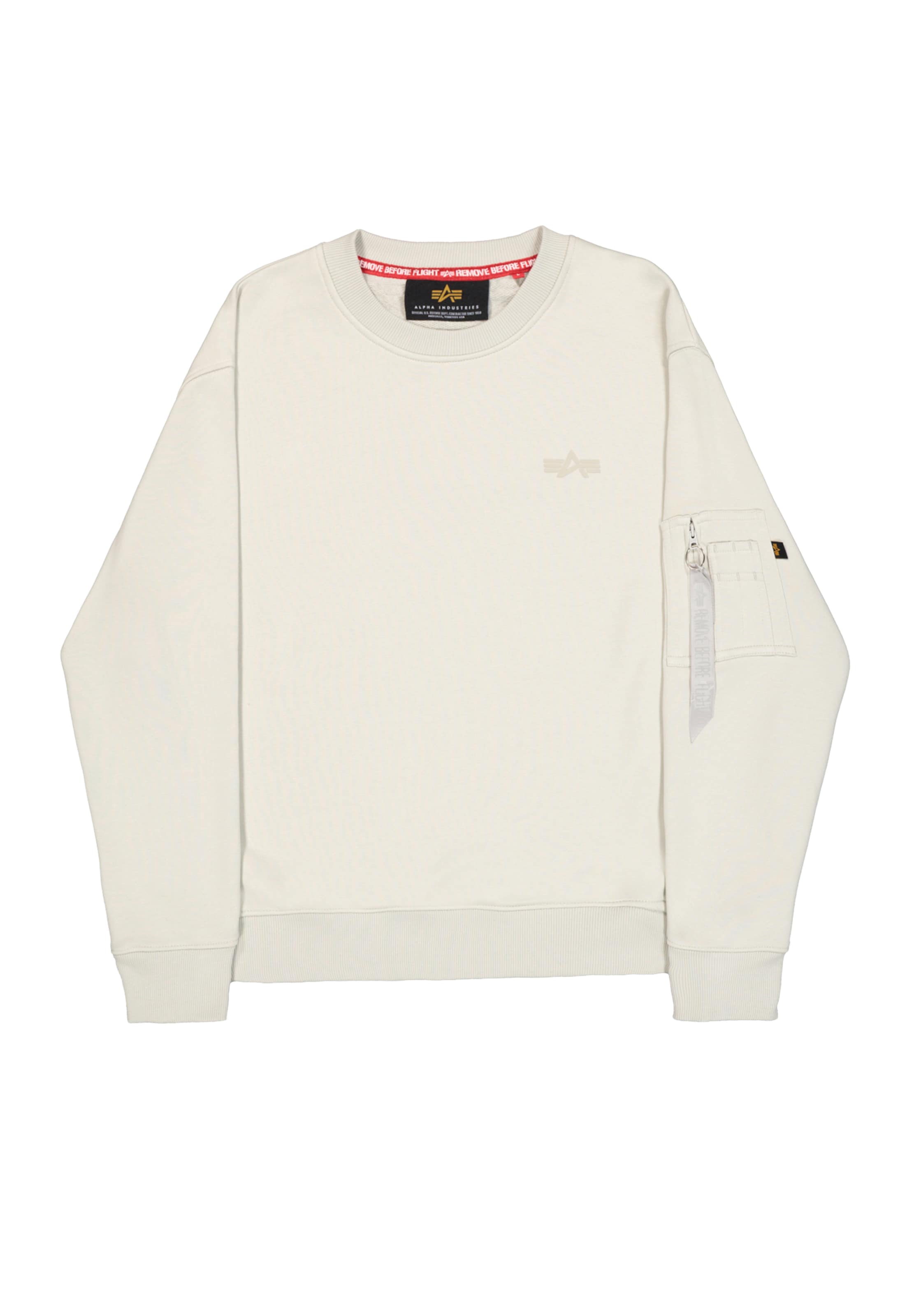 Felpa 'DTM' di ALPHA INDUSTRIES in grigio: frontale