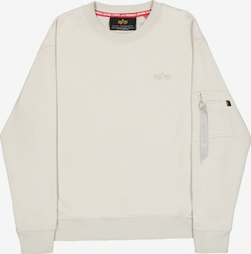Felpa 'DTM' di ALPHA INDUSTRIES in grigio: frontale