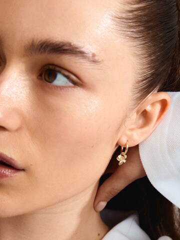 Pilgrim Earrings 'Charmaine' in Gold: front