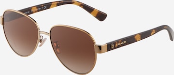 Lunettes de soleil '7111' COACH en marron : devant