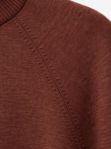 Pullover 'Pullover' di MixRay in marrone