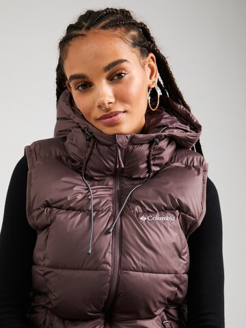 COLUMBIA Sportbodywarmer 'Pike Lake II' in Grijs