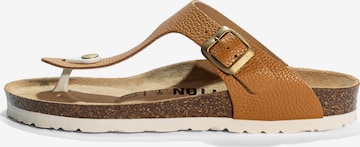 Bayton Varvastossut 'Mercure' värissä ruskea: etupuoli