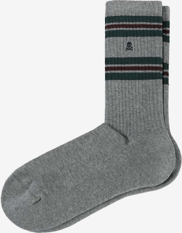 pilka Scalpers Kojinės: priekis