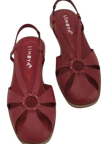 Limoya Sandals 'Damensandalen' in Red