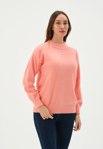 Pullover di Giorgio di Mare in rosa: frontale