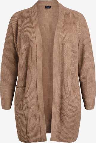 ruda Zizzi Kardiganas: priekis