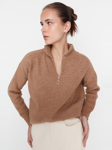 Trendyol Pullover in Braun