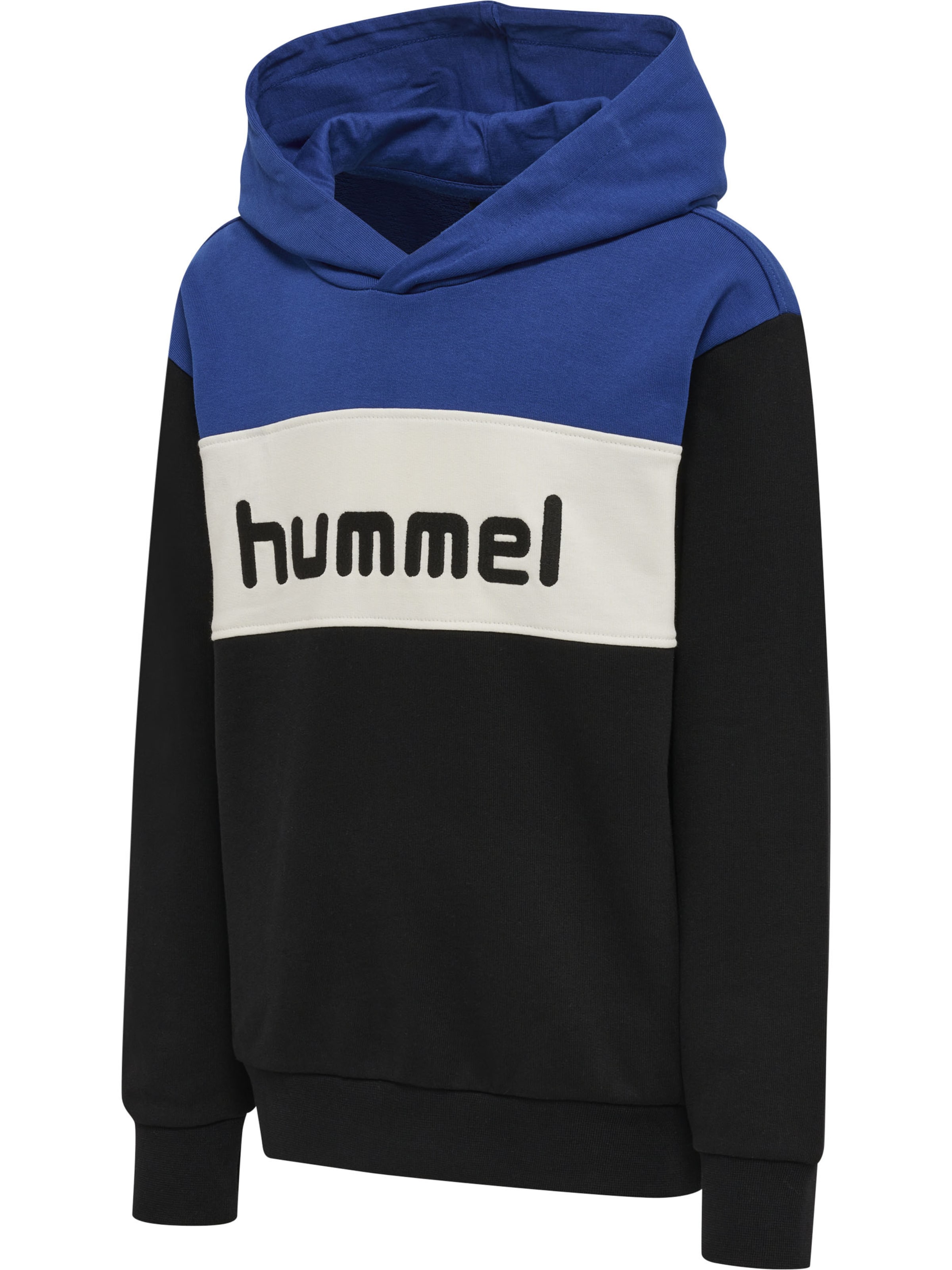 Hummel Sweatshirt in Blue