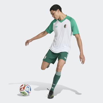 ADIDAS PERFORMANCE Trikot 'Algeria 26 Home Pre-Match' in Weiß