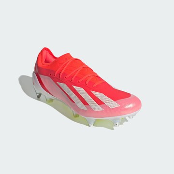 ADIDAS PERFORMANCE Soccer Cleats 'X Crazyfast Elite' in Orange