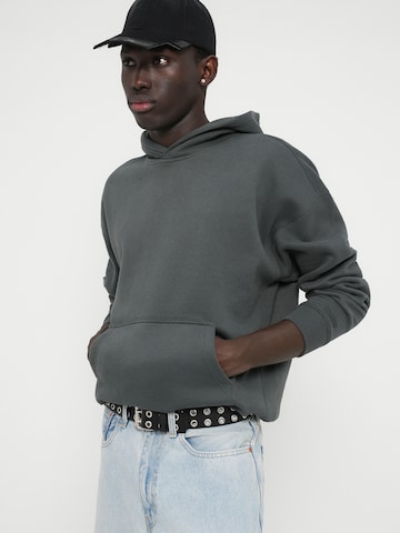 HOLLISTER Sweatshirt in Grau