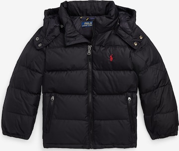 Polo Ralph Lauren Winter jacket in Black: front