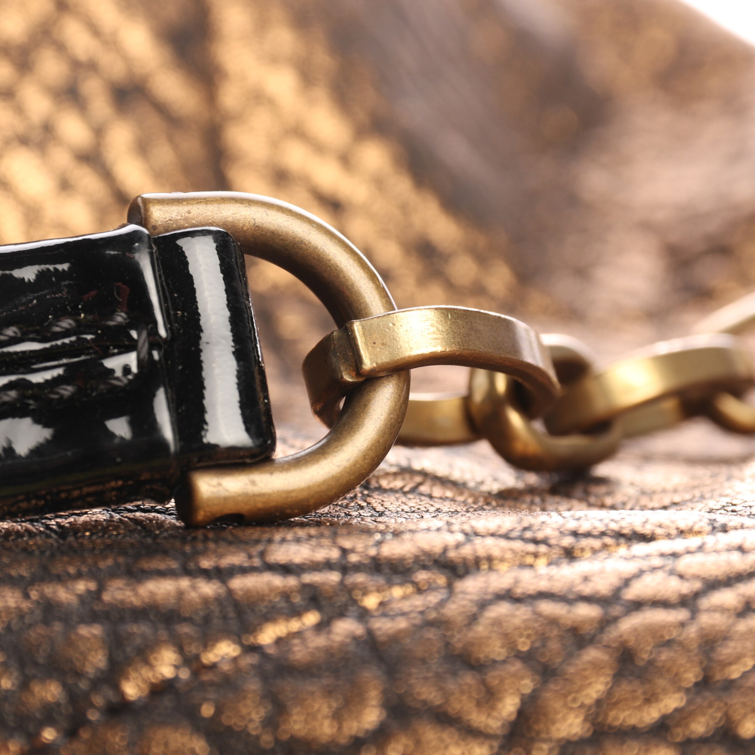 Lanvin Bag in One size in Black