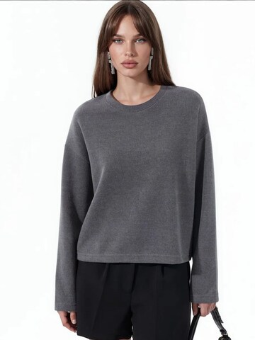 Busem Pulover 'Pullover' | siva barva: sprednja stran
