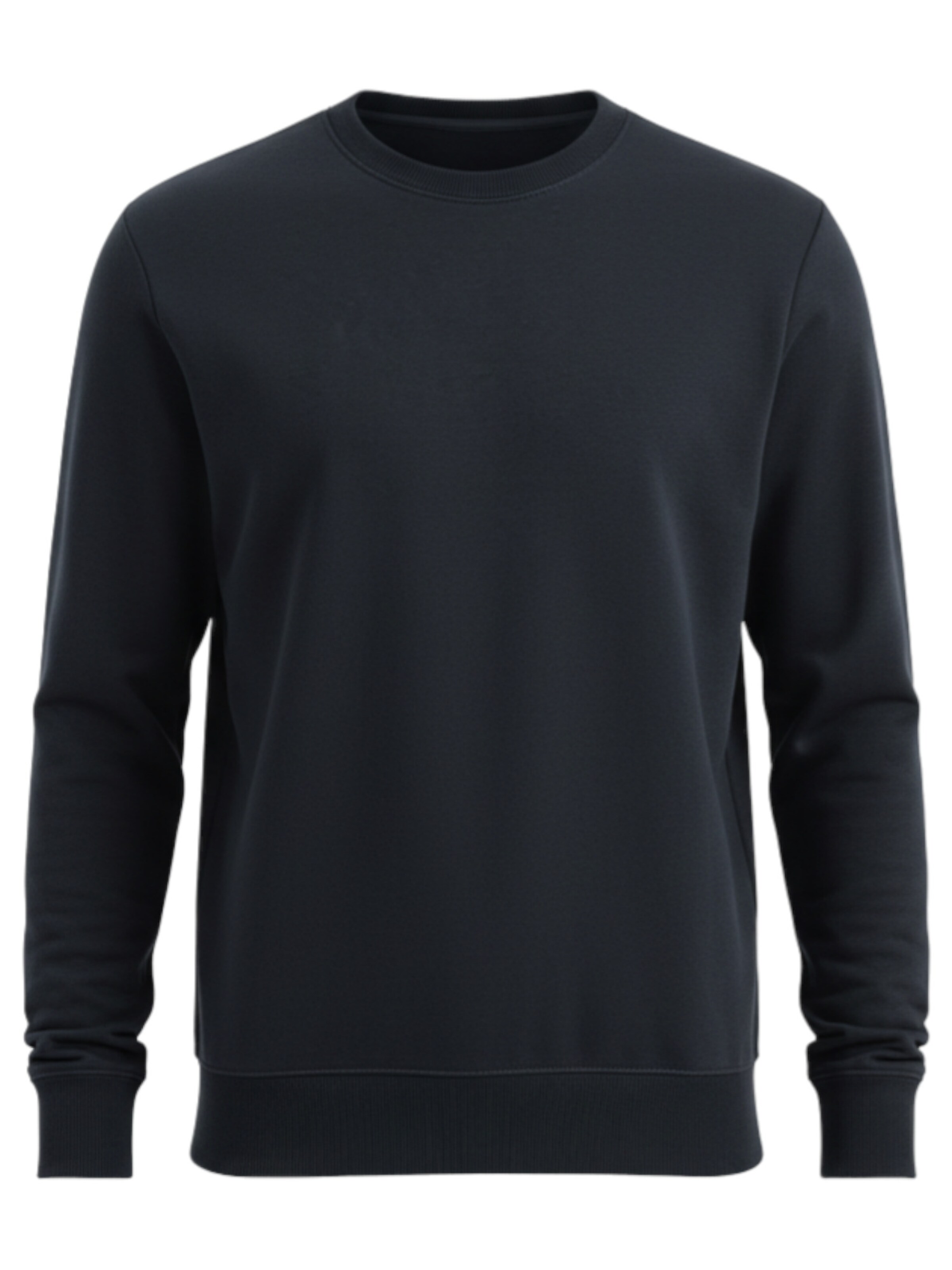 Sweat-shirt 'OM-SSBN-0159' Ombre en noir : devant