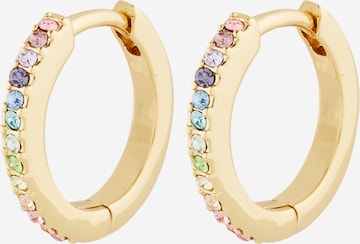 auksinė Ted Baker Auskarai 'HEPLIE': priekis