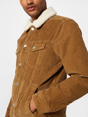 Veste mi-saison 'SHERPA' HOLLISTER en marron