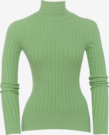 FRESHLIONS Sweater 'Ciara' in Green: front