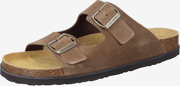 DR. BRINKMANN Pantolette 'Bonillo' in Braun: Vorderseite