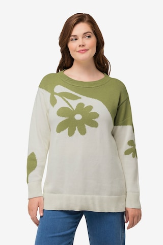 Ulla Popken Pullover in Beige: predná strana