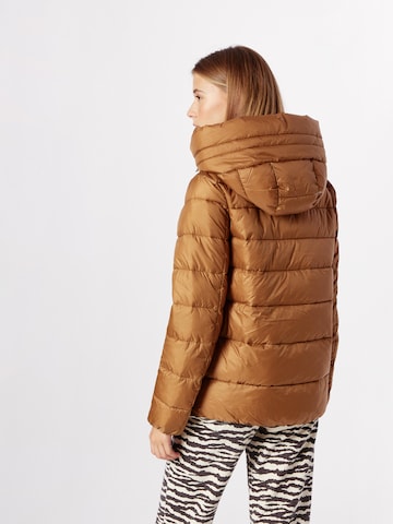 ESPRIT Winter jacket in Brown