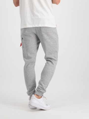 Tapered Pantaloni 'NASA' di ALPHA INDUSTRIES in grigio