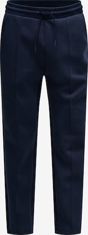 Salsa Jeans Slimfit Hose in Blau: Vorderseite
