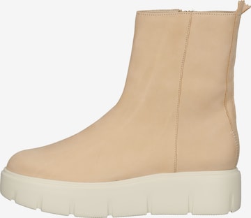 Högl Stiefelette in Beige