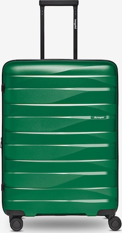Trolley di Bergpfeil in verde: frontale