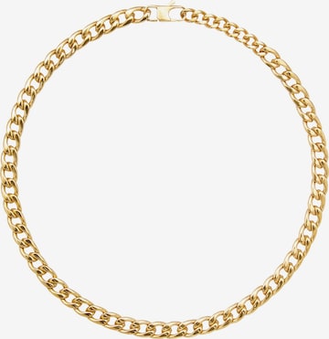 Breil Necklace in Gold: front