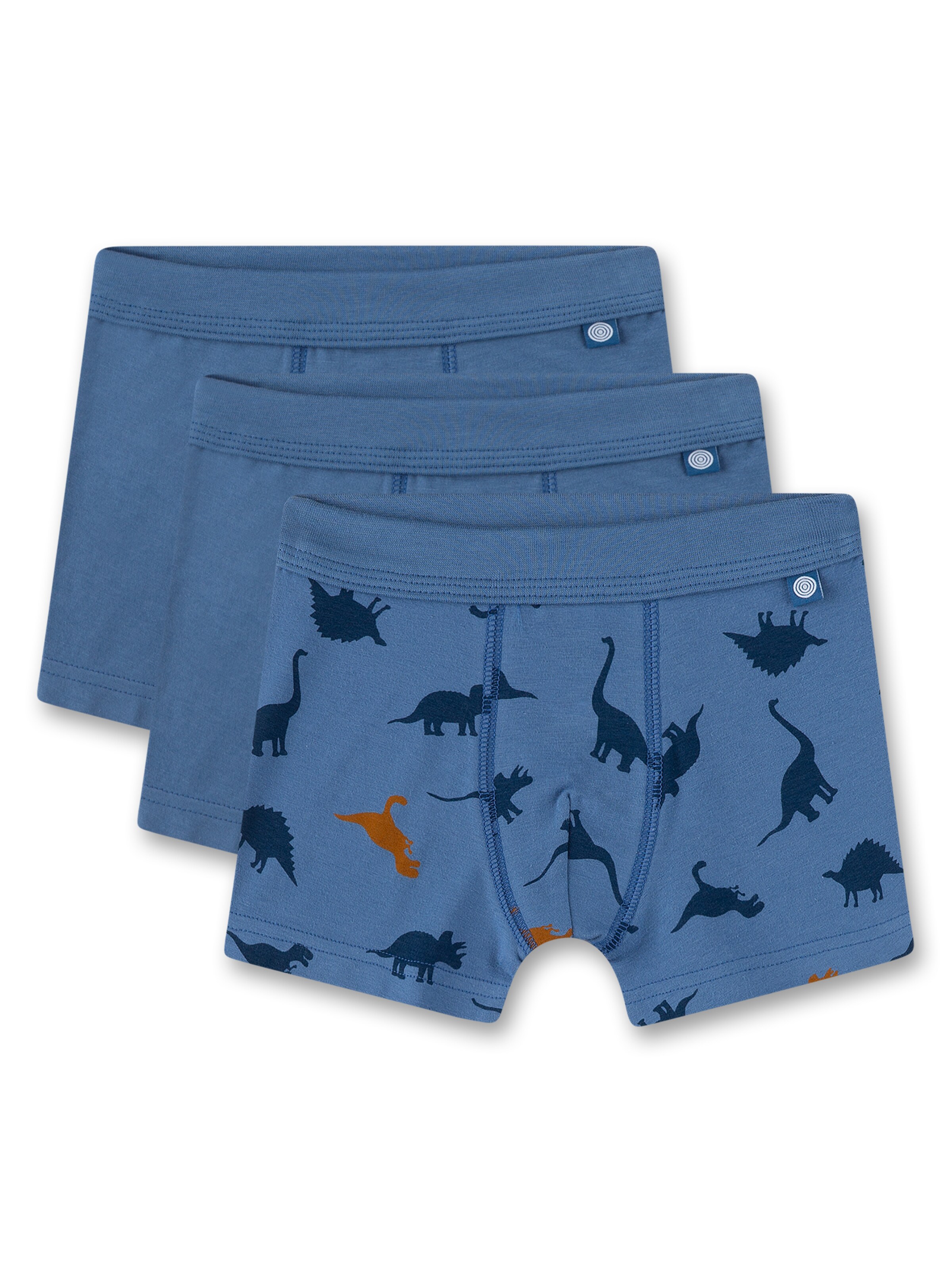 Sanetta Underpants in Blue: front