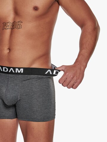 Adam Boxershorts '3er Pack' in Grau