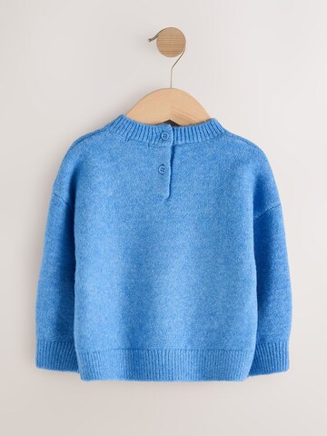 Next Trui in Blauw