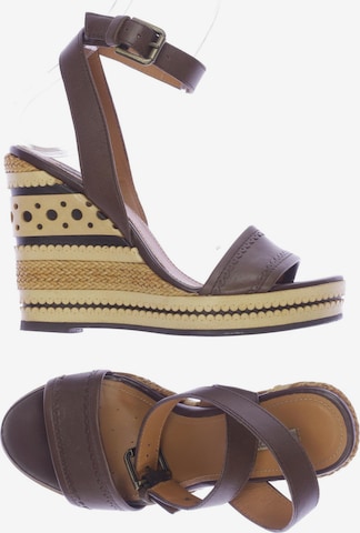 GEOX Sandals & High-Heeled Sandals in 36 in Brown: front