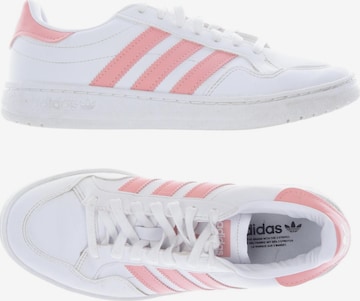 ADIDAS ORIGINALS Sneakers & Trainers in 37,5 in White: front