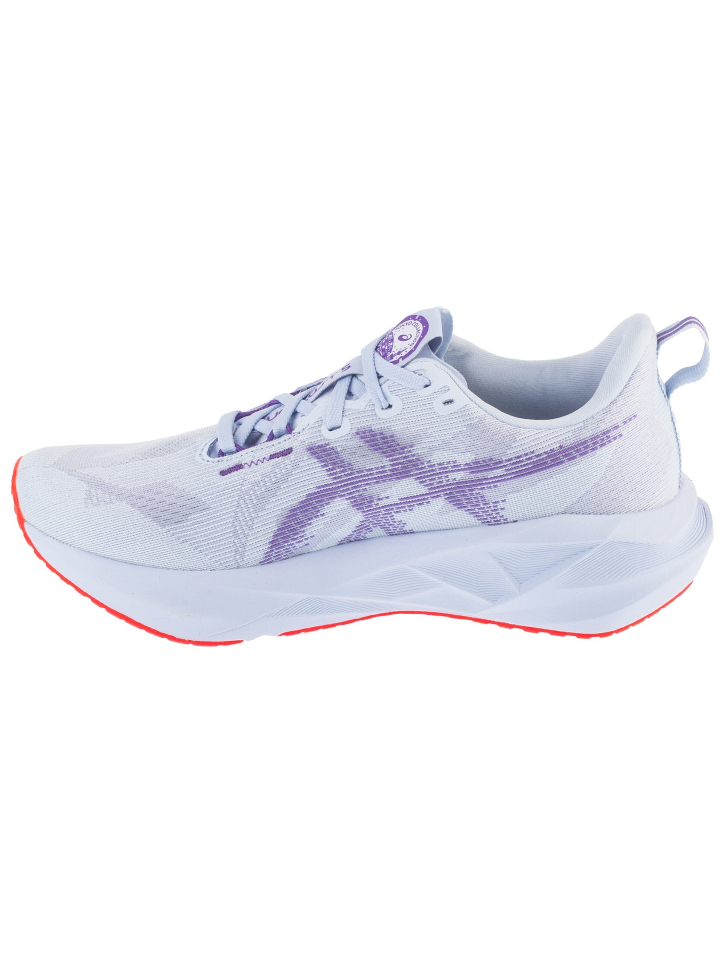 ASICS Laufschuh 'Novablast 5 Tokyo'‌‌‌‌‌‌ in Grau